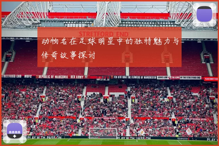 动物名在足球明星中的独特魅力与传奇故事探讨