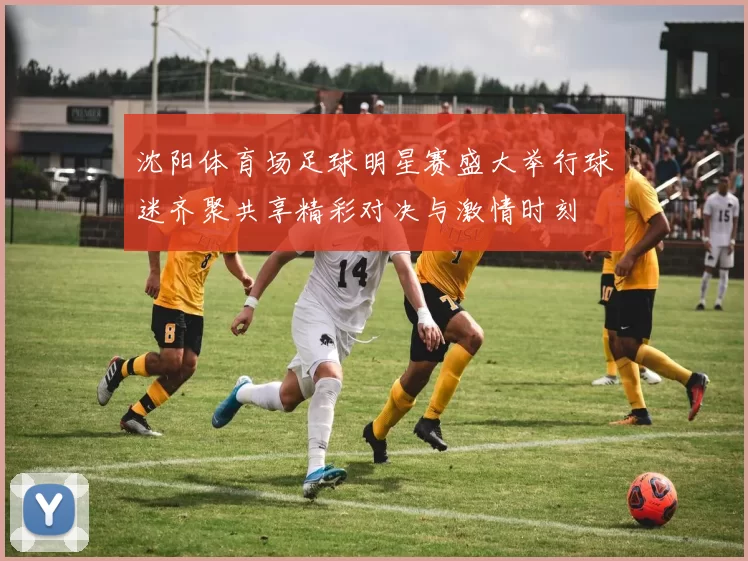 沈阳体育场足球明星赛盛大举行球迷齐聚共享精彩对决与激情时刻