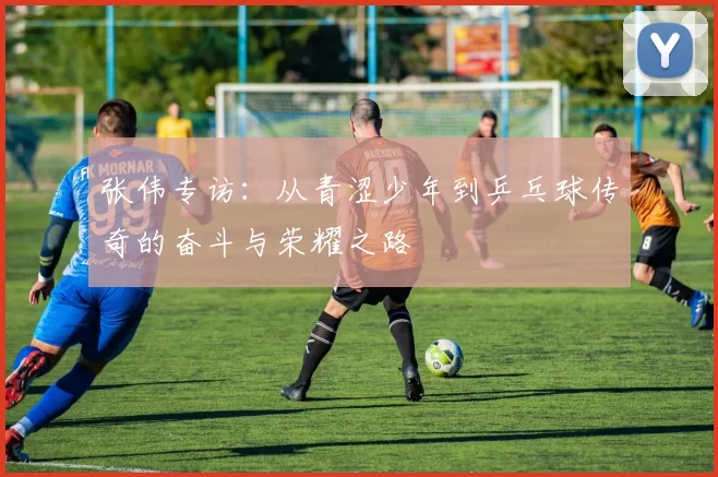 张伟专访：从青涩少年到乒乓球传奇的奋斗与荣耀之路