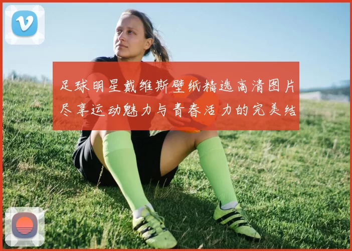足球明星戴维斯壁纸精选高清图片尽享运动魅力与青春活力的完美结合