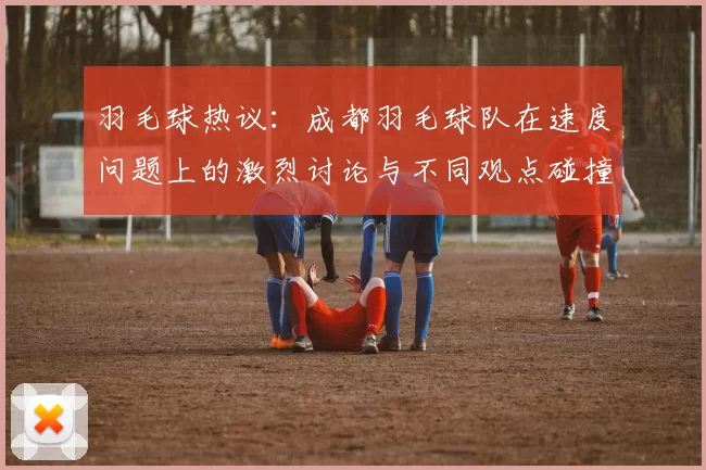 羽毛球热议：成都羽毛球队在速度问题上的激烈讨论与不同观点碰撞