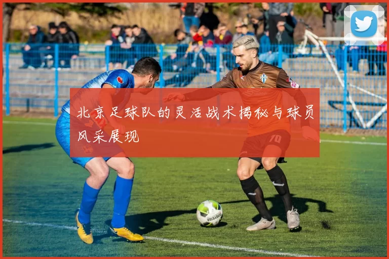 北京足球队的灵活战术揭秘与球员风采展现