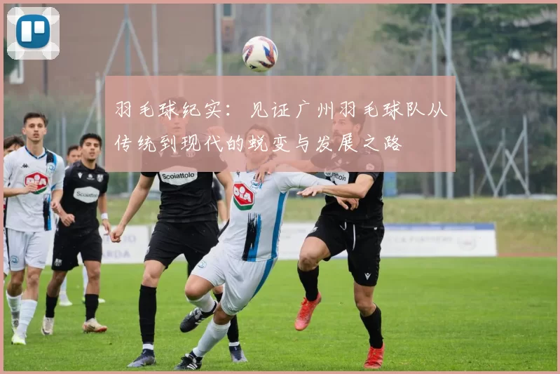 羽毛球纪实：见证广州羽毛球队从传统到现代的蜕变与发展之路