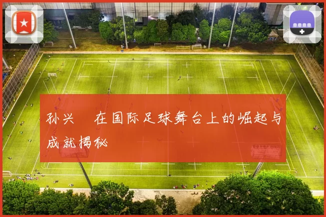 孙兴慜在国际足球舞台上的崛起与成就揭秘