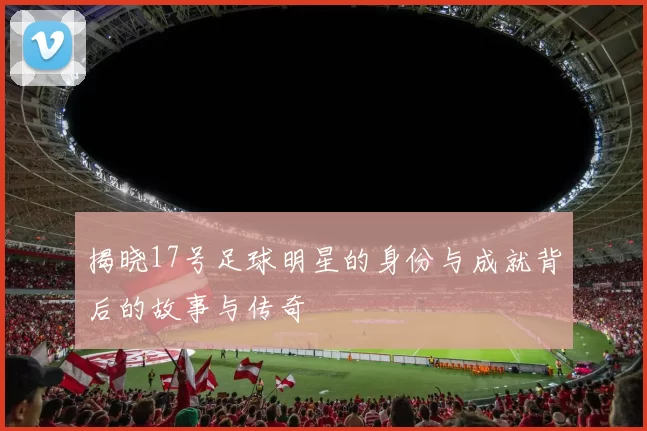 揭晓17号足球明星的身份与成就背后的故事与传奇
