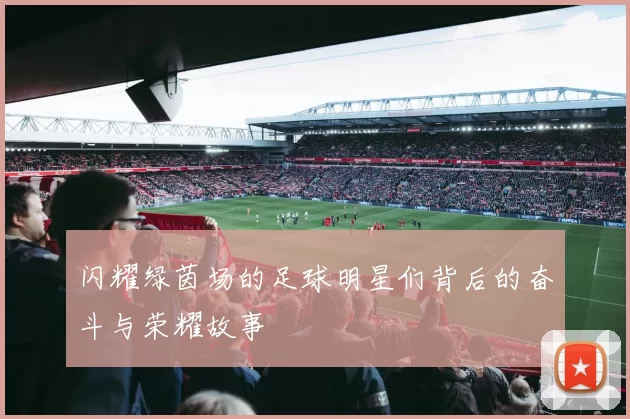 闪耀绿茵场的足球明星们背后的奋斗与荣耀故事