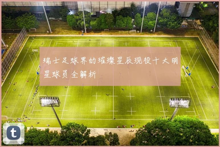 瑞士足球界的璀璨星辰现役十大明星球员全解析