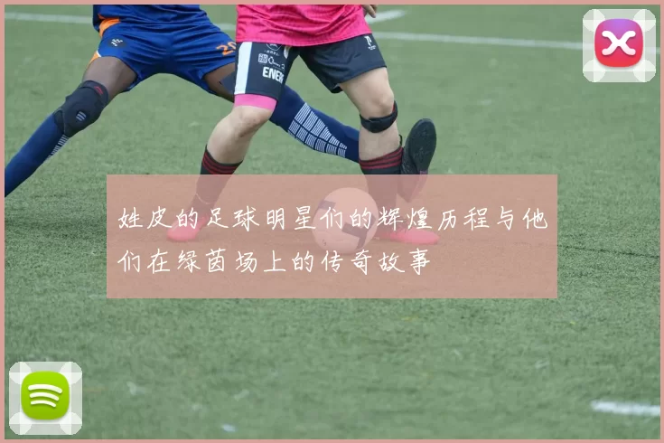 姓皮的足球明星们的辉煌历程与他们在绿茵场上的传奇故事