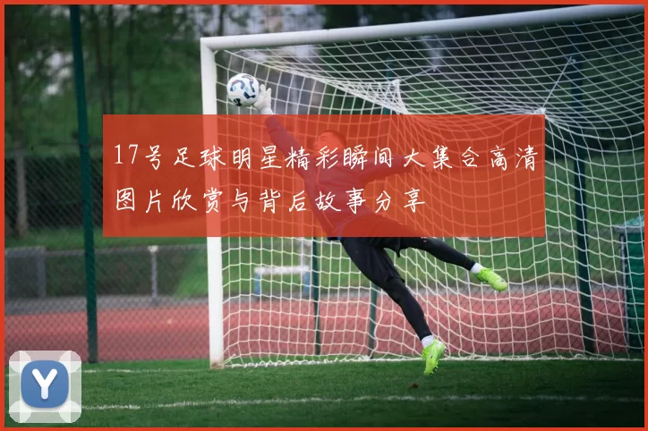 17号足球明星精彩瞬间大集合高清图片欣赏与背后故事分享