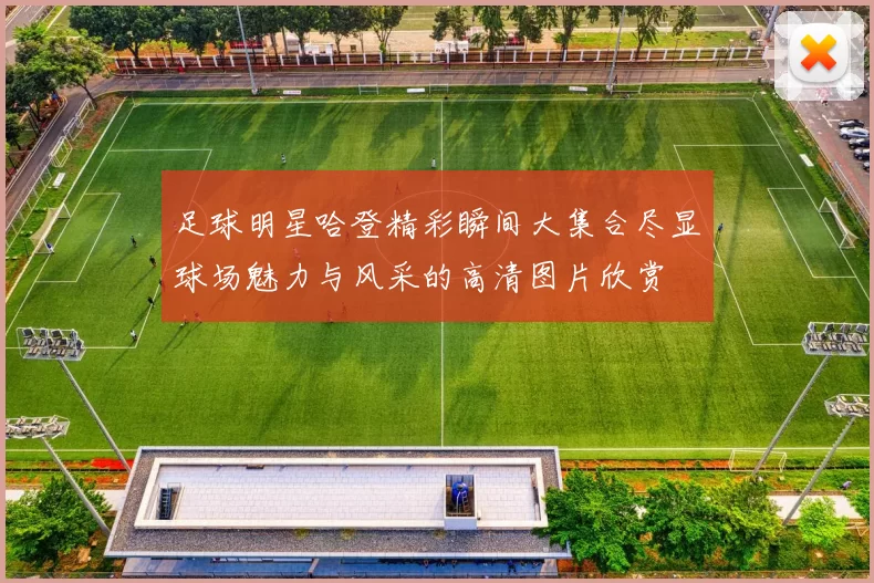 足球明星哈登精彩瞬间大集合尽显球场魅力与风采的高清图片欣赏