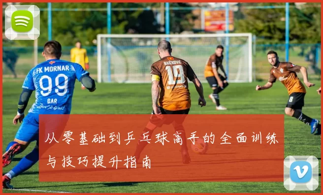 从零基础到乒乓球高手的全面训练与技巧提升指南