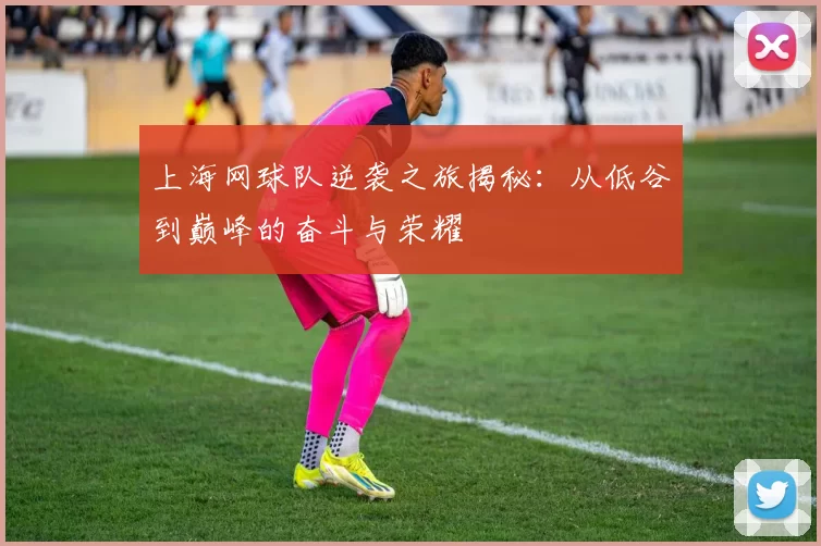 上海网球队逆袭之旅揭秘：从低谷到巅峰的奋斗与荣耀