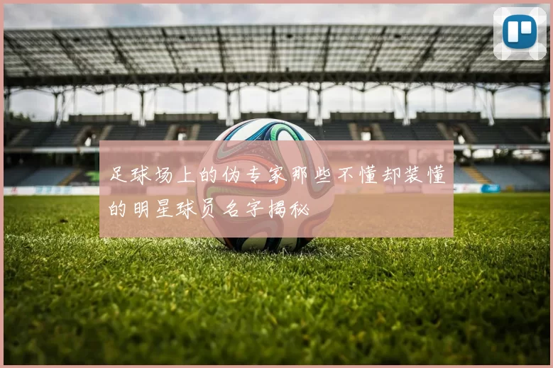 足球场上的伪专家那些不懂却装懂的明星球员名字揭秘
